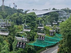 -圣淘沙天际线斜坡滑车