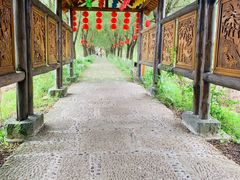 -长兴太湖图影湿地文化园