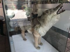 -内乡县衙博物馆