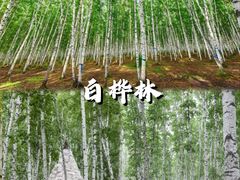 -呼伦贝尔大草原