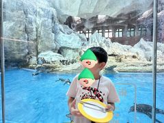 -帝企鹅自助餐厅•儿童岛•真企鹅(长隆企鹅酒店)