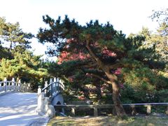 -庐山风景区花径公园