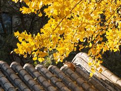-长安寺