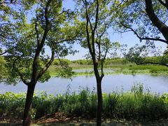 -同里国家湿地公园