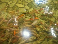 -泉城欧乐堡戏水湾艺术养生温泉