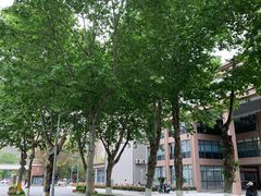 -四川大学(望江校区)