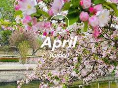 -海棠花溪(元大都城垣遗址公园)