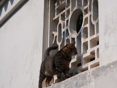 -西园戒幢律寺