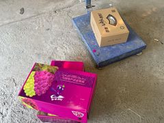 -马陆小张葡萄园农家乐