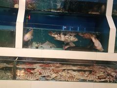 -原龙海鲜大排档(美食地标店)