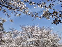 -龙美术馆(西岸馆)