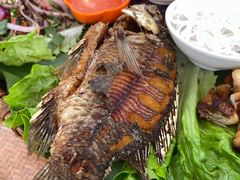 -沐毫傣泐云南菜孔雀宴•手抓饭傣味烧烤(曼听公园店)