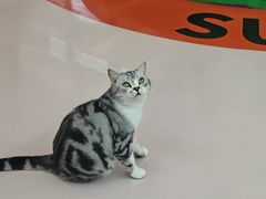 -福田卓悦INTOWN购物中心