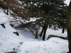 -泰山风景名胜区