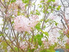 -三里河公园
