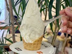 -野人先生Gelato(上海长宁龙之梦店)