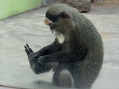 -石家庄市动物园