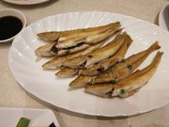沙尖鱼-锦粤宫·精致粤菜(阳西店)