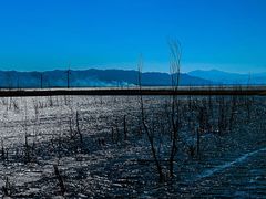 -野鸭湖国家湿地公园