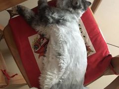 -万达影城(IMAX激光铁西万达广场店)