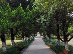 -沙市市中山公园