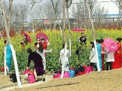 -武汉紫薇都市田园