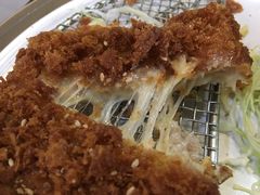 芝士猪排饭-犀牛家猪排