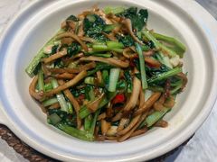 -同乐馆(阳光店)