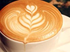 -MEET COFFEE婉约咖啡(宝善公寓店)