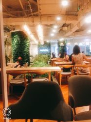 -悦诗风吟innisfree