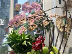 -FEI FEI FLOWER鲜花店·气球派对·宝宝宴布置(虹口德必运动Loft店)