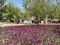 -长春公园(普阳街道)