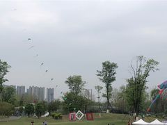 -府河摄影公园