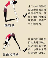 -皇冠瑜伽·普拉提·疼痛康复