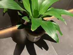 -天禧影院式足道·SPA(梅林店)