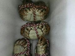 -丫丫蟹庄·苏式园林农家乐·阳澄湖大闸蟹(阳澄湖莲花岛店)