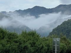 -终南山国家森林公园