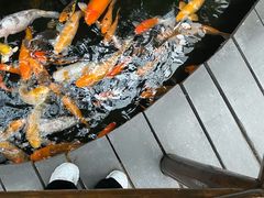 -上海大自然野生昆虫馆(东方明珠·爬宠昆虫探索中心)
