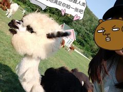 -大连铭湖国际观光牧场