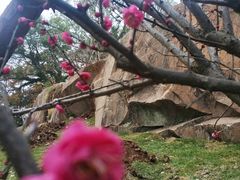 -乌山风景区