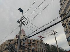 -桃花堤公园