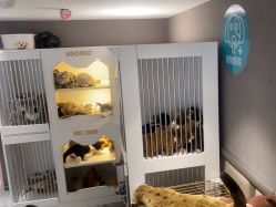 -奈尔宝·儿童乐园·亲子餐厅(华采天地店)