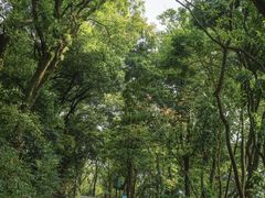 -点都德(广州白云山景区南门店)