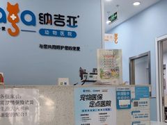 -纳吉亚猫专科动物诊疗中心(蒋宅口分院)