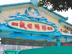-海合安成都极地海洋公园