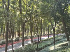 -龙头寺公园