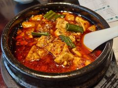 -陈麻婆豆腐总店