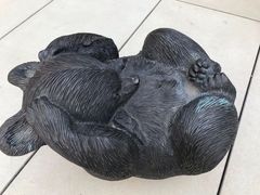 -凤凰中心