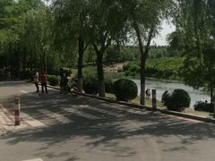 -丁香湖公园