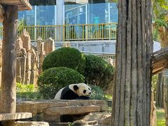 -大连森林动物园